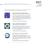 Tablet Screenshot of bkc-consulting.com